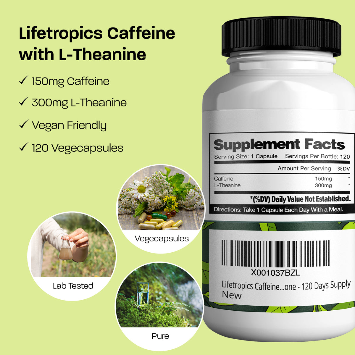 Caffeine and L-Theanine