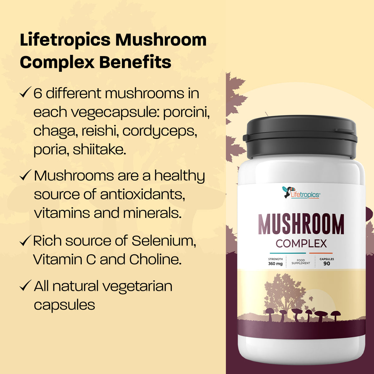 Mushroom Complex