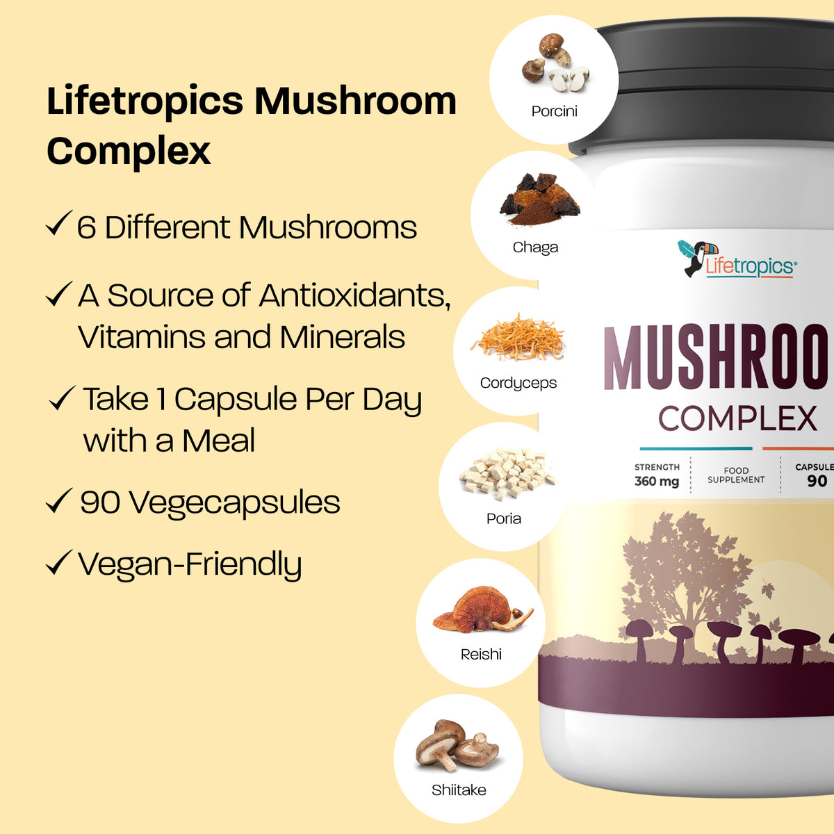 Mushroom Complex