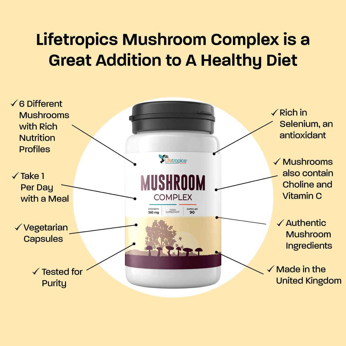 Mushroom Complex