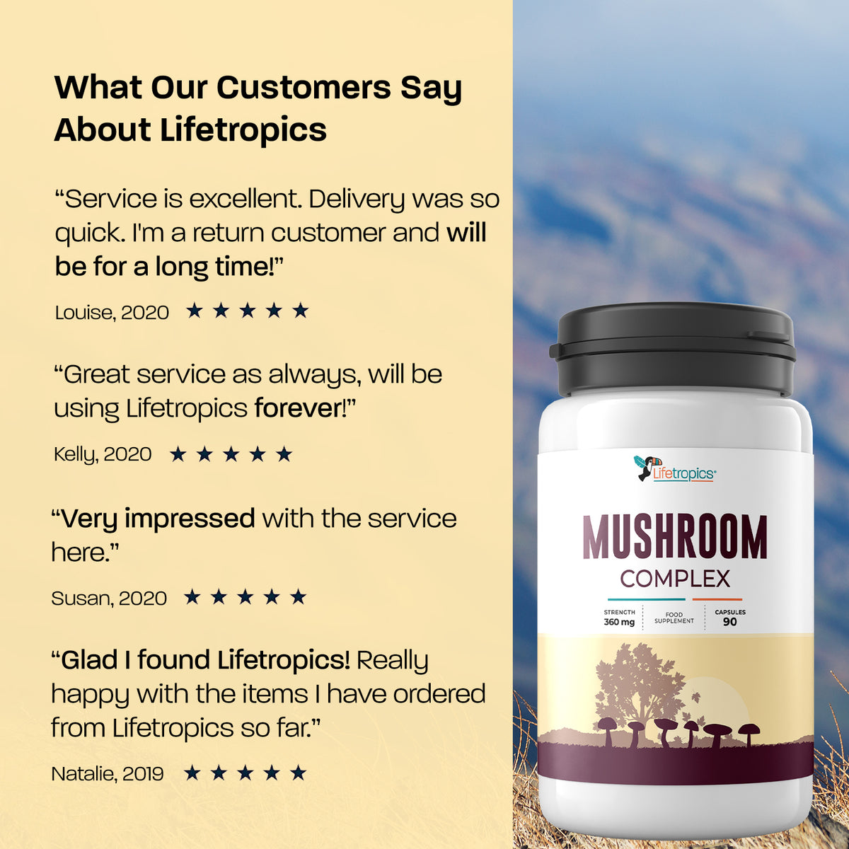 Mushroom Complex
