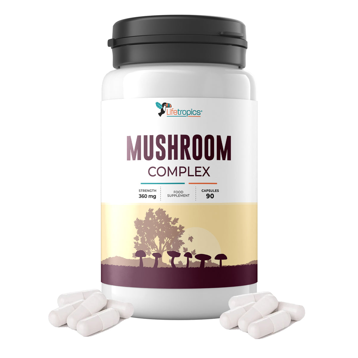 Mushroom Complex