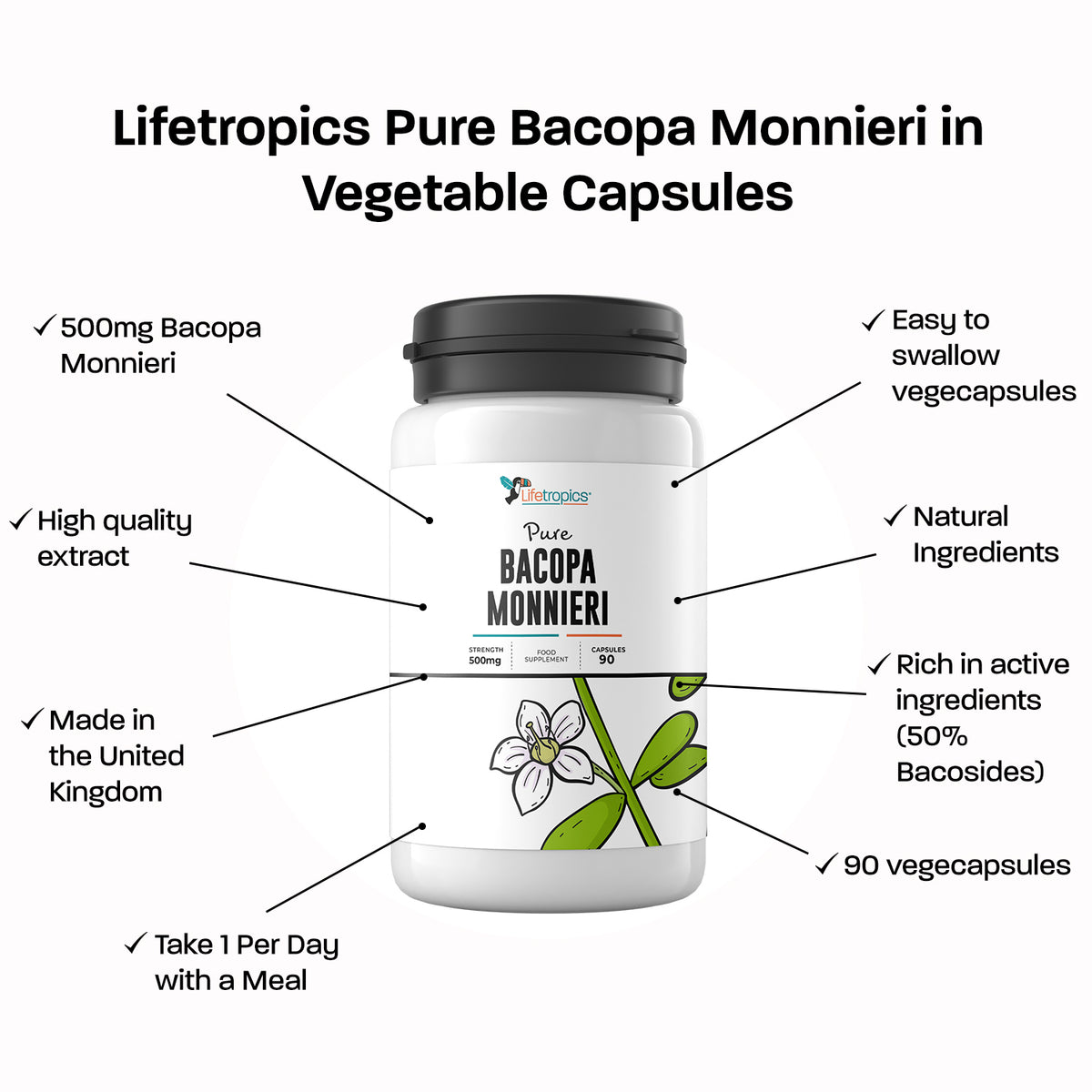 Pure Bacopa Monnieri