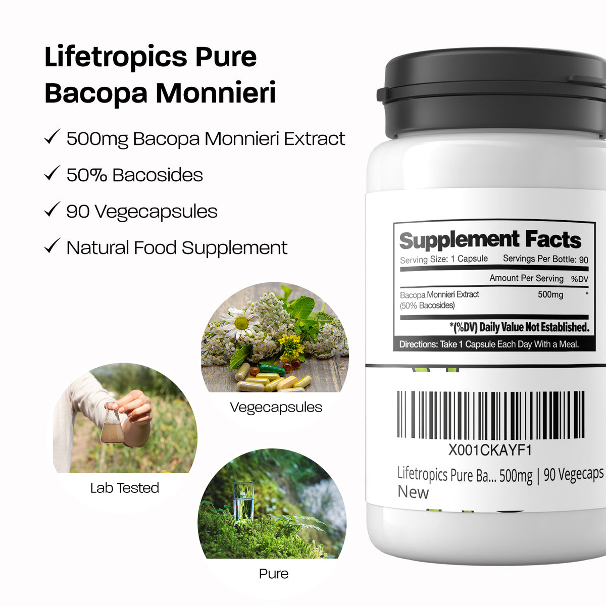 Pure Bacopa Monnieri