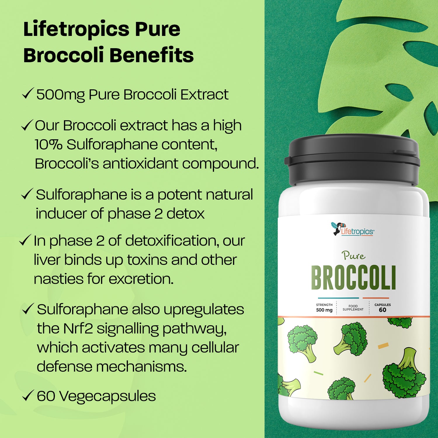 Lifetropics Pure Broccoli, Natural Food Supplement, 500mg Broccoli ...